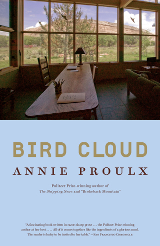 Cover image: Bird Cloud 9780743288811
