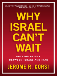 Cover image: Why Israel Can't Wait 9781439183014