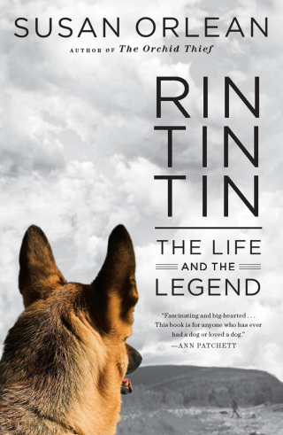 Cover image: Rin Tin Tin 9781439190142
