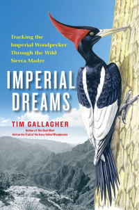 Cover image: Imperial Dreams 9781476734385