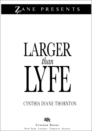 Cover image: Larger Than Lyfe 9781593093198