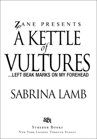 Cover image: A Kettle of Vultures 9781593093358