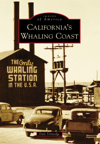 Cover image: California's Whaling Coast 9781467131711