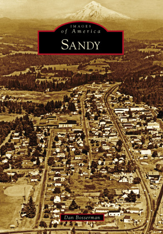 Imagen de portada: Sandy 9781467134330