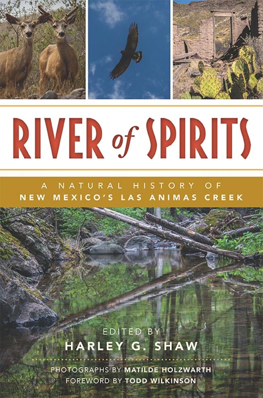 River of Spirits A Natural History of New Mexico‚Äôs Las Animas Creek