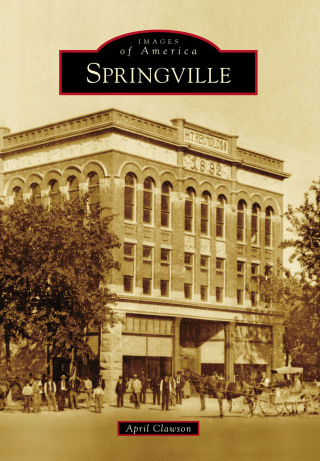 Imagen de portada: Springville 9781467124898
