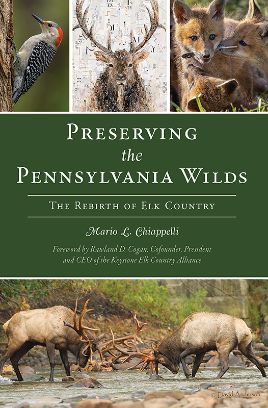 Preserving the Pennsylvania Wilds The Rebirth of Elk Country