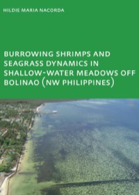 Omslagafbeelding: Burrowing Shrimps and Seagrass Dynamics in Shallow-Water Meadows off Bolinao (New Philippines) 1st edition 9780415484022
