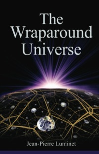 Cover image: The Wraparound Universe 1st edition 9780367849610