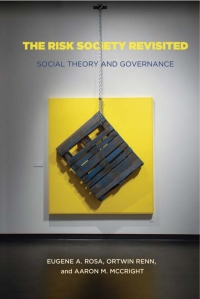 Cover image: The Risk Society Revisited 9781439902592