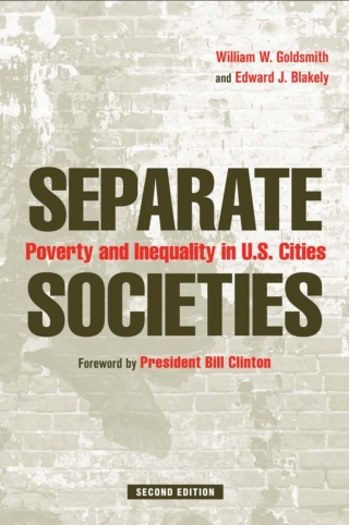 Cover image: Separate Societies 9781439902929
