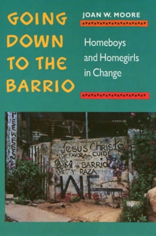 Cover image: Going Down To The Barrio 9780877228547
