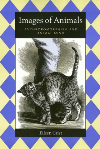 Cover image: Images Of Animals 9781566396561