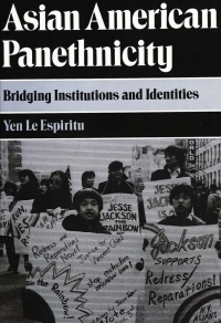 Cover image: Asian American Panethnicity 9781566390965