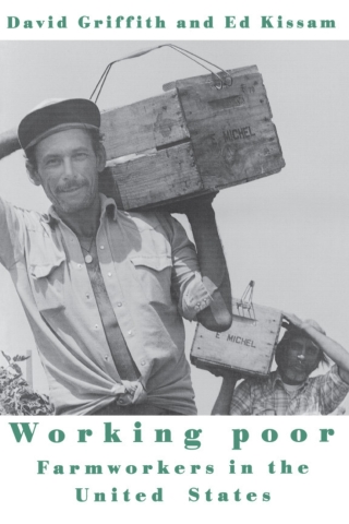 Titelbild: Working Poor 9781566392389