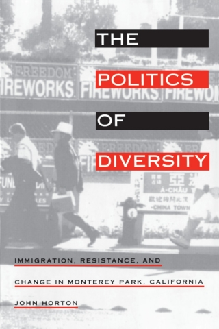 صورة الغلاف: The Politics of Diversity 9781566393270