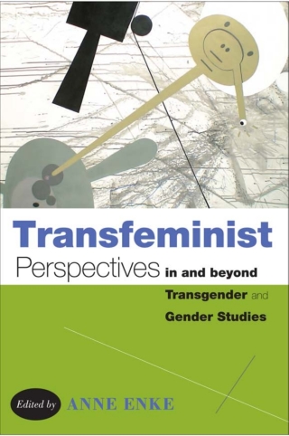 Titelbild: Transfeminist Perspectives in and beyond Transgender and Gender Studies 9781439907467