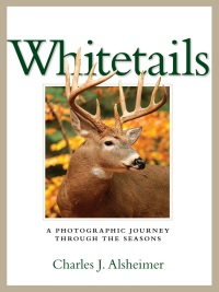Cover image: Whitetails 1st edition 9781440213847
