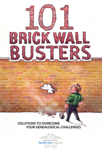 Cover image: 101 Brick Wall Busters 9781440308901