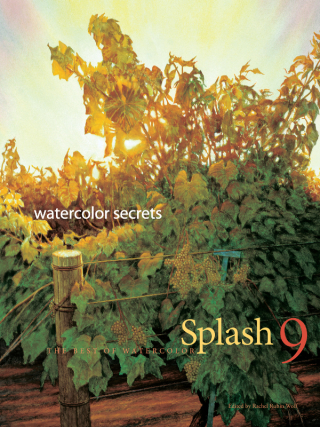 Cover image: Splash 9 9781581806946