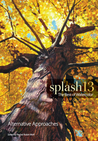 Cover image: Splash 13 9781440310355