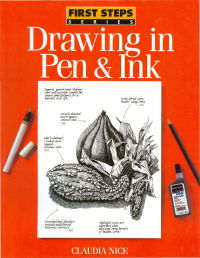 Cover image: Drawing in Pen & Ink 9780891347170