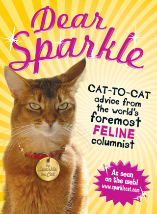 Cover image: Dear Sparkle 9781440503795