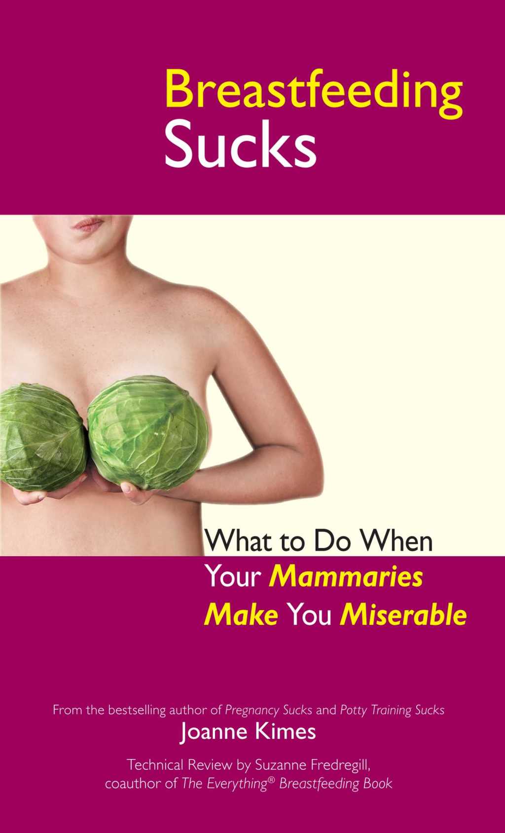 Breastfeeding Sucks What to Do when Your Mammaries Make You Miserable