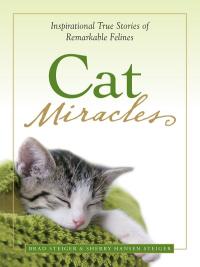 Cover image: Cat Miracles 9781580627740