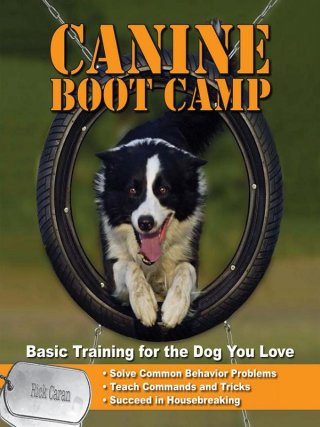 Cover image: Canine Bootcamp 9781598690903