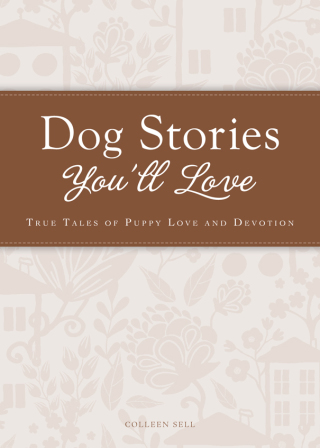 Cover image: Dog Stories You'll Love 9781440538322