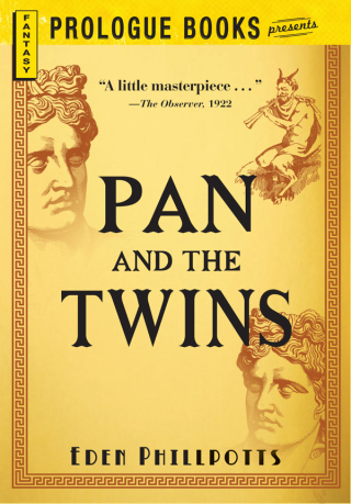 Cover image: Pan and the Twins 9781290393300.0