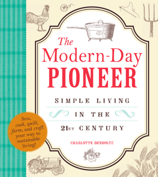 Cover image: The Modern-Day Pioneer 9781440551796