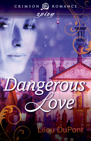 Cover image: Dangerous Love 9781440554100
