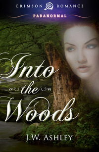 Titelbild: Into the Woods