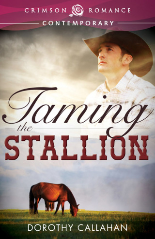 Cover image: Taming the Stallion 9781440563454
