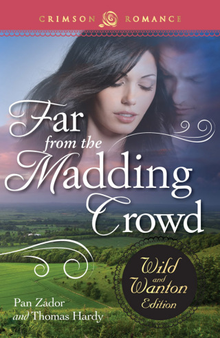 Cover image: Far From The Madding Crowd: The Wild And Wanton Edition 9781440568329