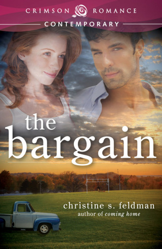 Cover image: The Bargain 9781440569050