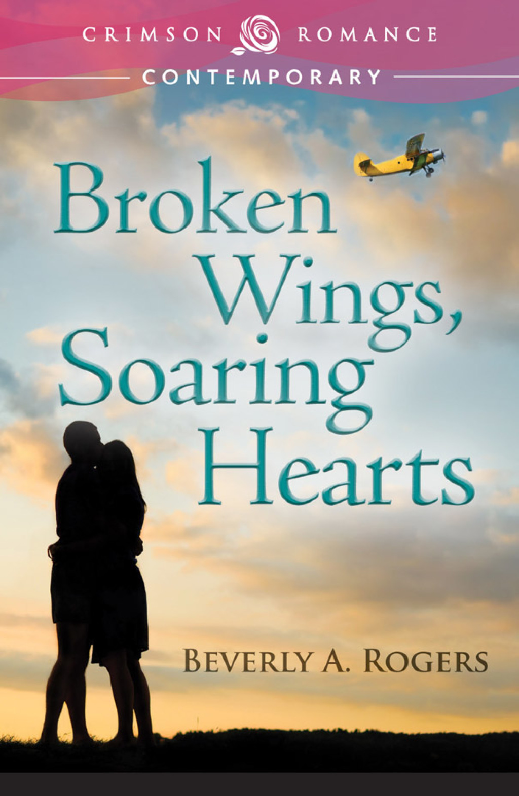 Broken Wings  Soaring Hearts eBook