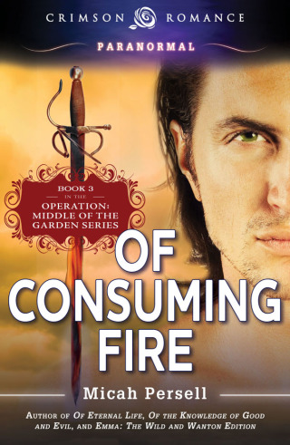 Cover image: Of Consuming Fire 9781440570322