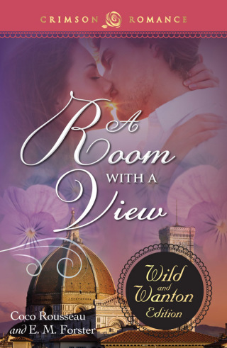 Cover image: A ROOM WITH A VIEW: THE WILD & WANTON EDITION 9781440570360