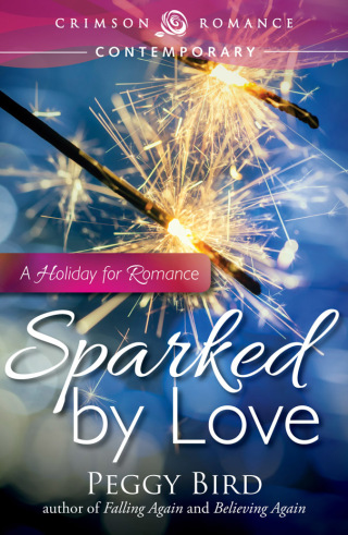 Cover image: Sparked by Love 9781440570384