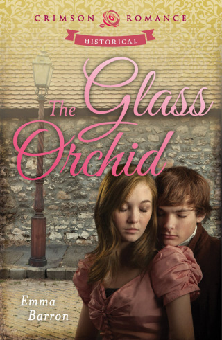 Cover image: The Glass Orchid 9781440571206