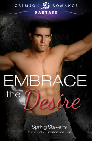 Cover image: Embrace the Desire 9781440579745