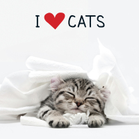 Cover image: I Love Cats 9781440581137