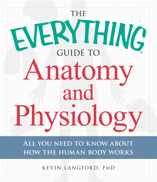 Cover image: The Everything Guide to Anatomy and Physiology 9781440581823
