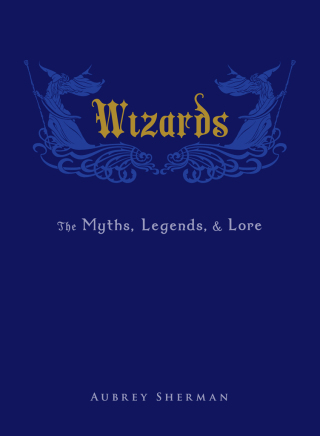 Cover image: Wizards 9781440582882