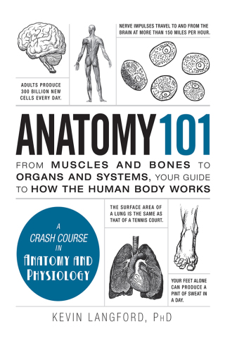 Cover image: Anatomy 101 9781440584268
