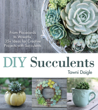 Cover image: DIY Succulents 9781440588082