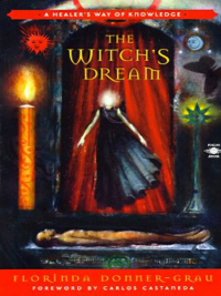 Cover image: The Witch's Dream 9780140195316